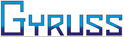 gyruss